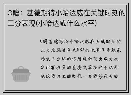 G瞻：基德期待小哈达威在关键时刻的三分表现(小哈达威什么水平)